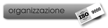 organizzazione